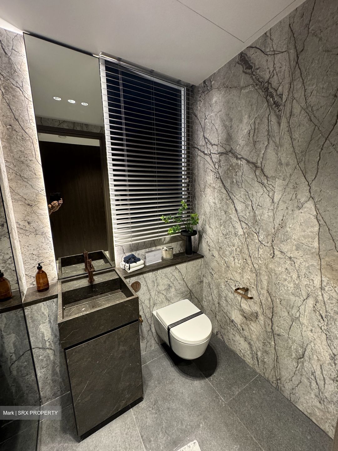 The Landmark (D3), Condominium #479756031